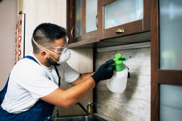 Best Pest Prevention Services  in East Bronson, FL