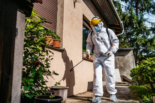 Best Termite Control Services  in East Bronson, FL