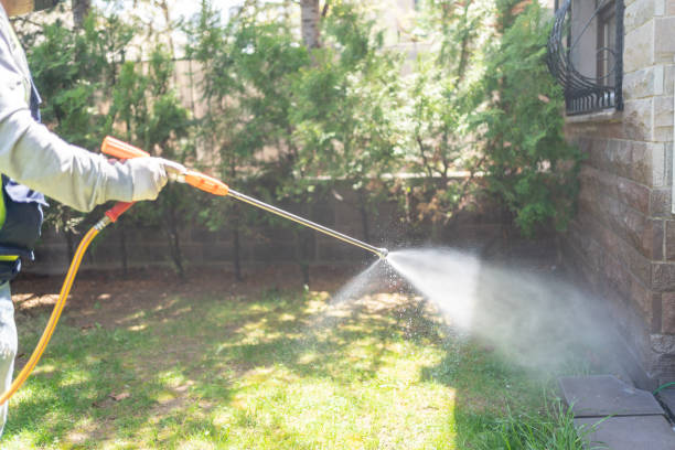 Flea Control Services in East Bronson, FL
