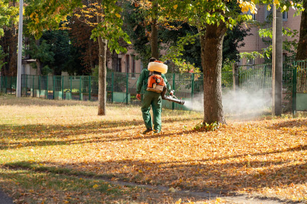 Best Rat Extermination Near Me  in East Bronson, FL