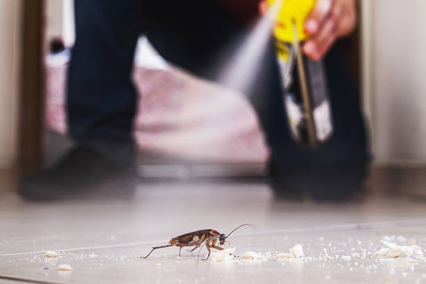 Best Commercial Pest Control Services  in East Bronson, FL