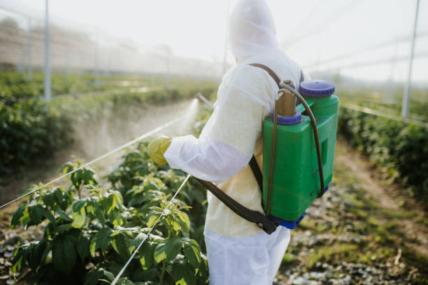 Best Local Pest Control Services  in East Bronson, FL